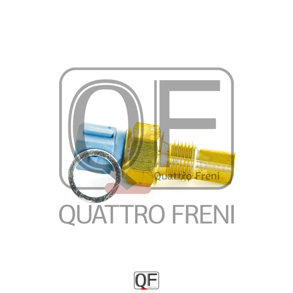 QF00T01667